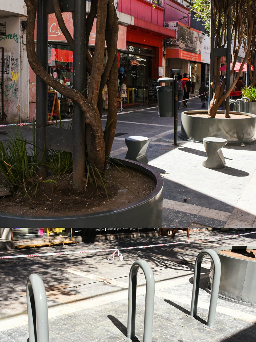 acarolinamartin's tweet photo. 🌿 Seguimos poniendo en valor el Área Central

Continuamos trabajando en nuestras calles peatonales para que cada espacio esté más ordenado, seguro y cuidado.

En calle 9 de Julio, del 200 al 400, realizamos tareas de poda y despeje, retirando ramas secas de las Santa Rita. 🌿✂️ https://t.co/LWOG7yEG79