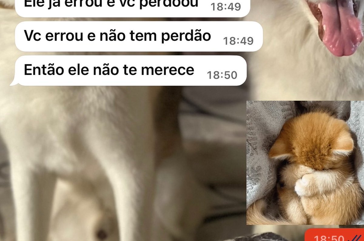 musabebell's tweet photo. na saga dos sermões de minha mãe https://t.co/EXQ70ud68h