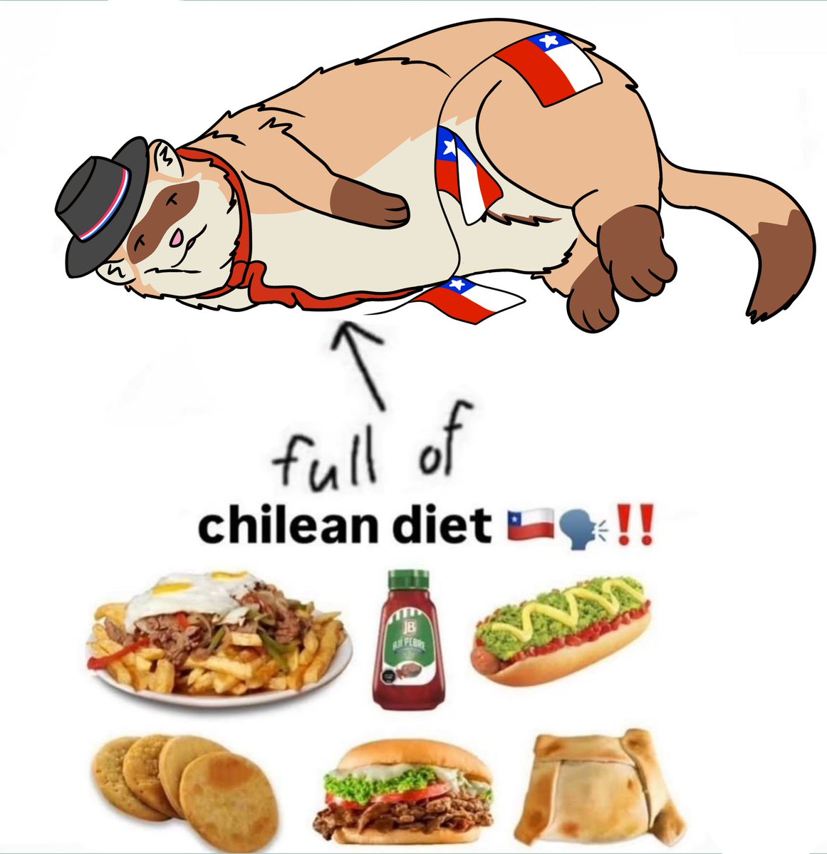 Caswyn's tweet photo. ¡Feliz 18 de septiembre! ¡Felices fiestas patrias de Chile! 🇨🇱🇨🇱🇨🇱 https://t.co/Tg52YXaXwN