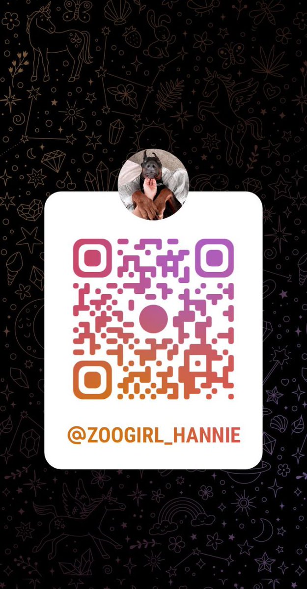 sweet_hannie45's tweet photo. Come satisfy your fantasy as you watch me get knotted by my beast 🐶🐾Curiousity ride to adventures

https://t.co/IMbT0TYo2K

#doglover #dogknotting #dogsex #knotty  #dog #puppy #dogwhore #dogwoman #transgender  #dogwhore #artofzoo #zoocontents #beastiality #taboocontents https://t.co/eb0KRFuJxb