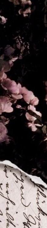 sisttrong's tweet photo. ˖ 𑣲  ݃ㅤ꯭Boneca rosinha. ☆ https://t.co/ttO3kSnA4m