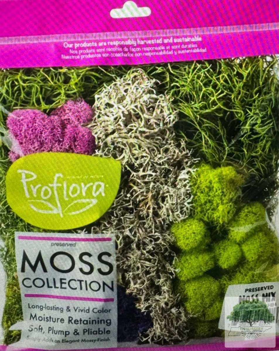 imshisy's tweet photo. 🌿✨ Elevate your decor with our Preserved Mix Moss Collection for only $23.99! Perfect for nature lovers, it includes Reindeer, Spanish, Forest, and Sheet Moss. Create something beautiful today! 🌼💚 Shop now: https://t.co/Do7fiLGDFG https://t.co/IBabjyUs8x