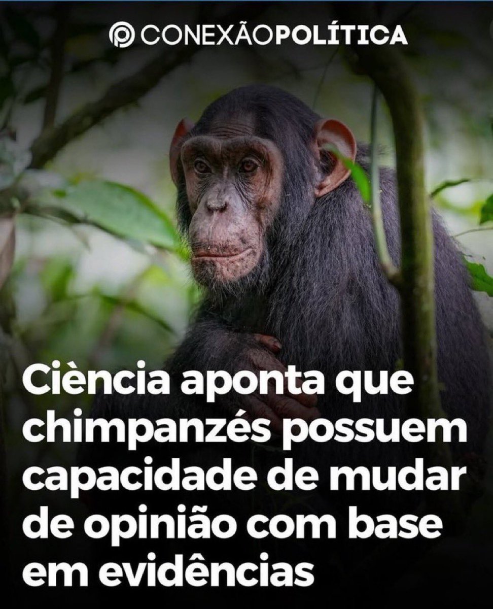 Quem_e_Satoshi's tweet photo. https://t.co/BEL6atORVu