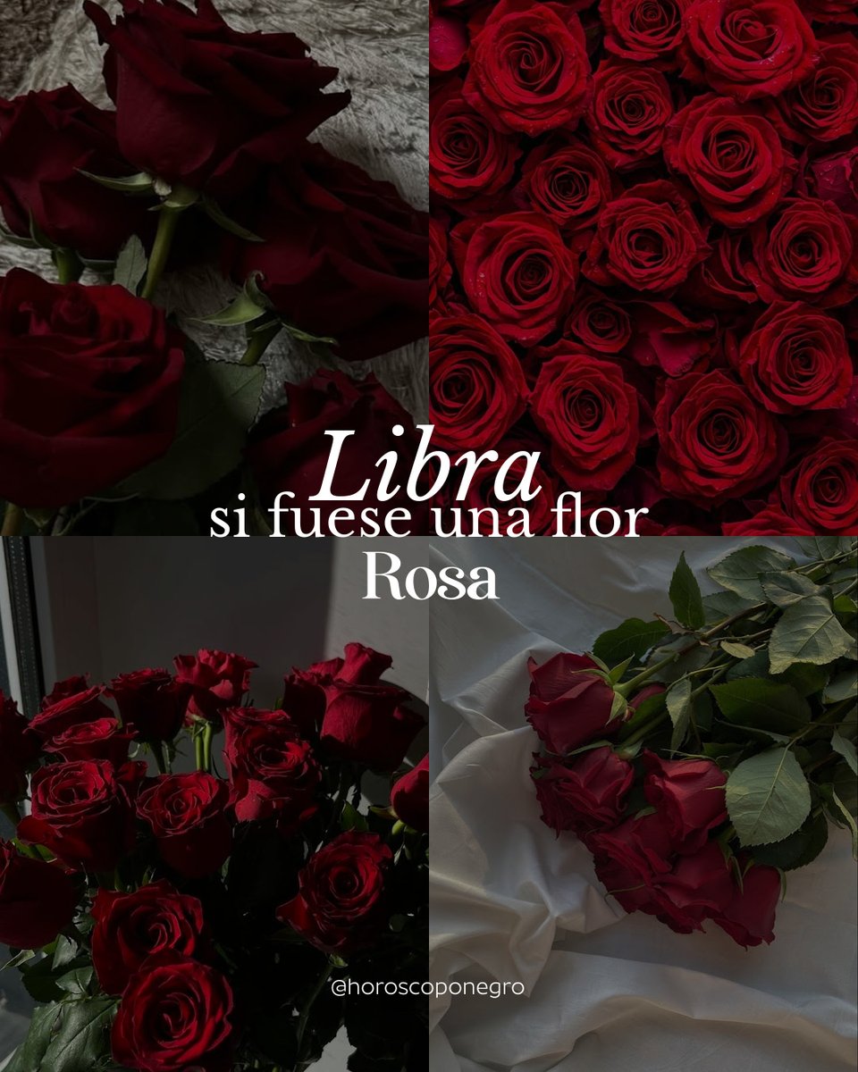 libra_hn's tweet photo. ¿Alguna vez te has preguntado qué flor serías según tu signo del zodiaco? 💐 https://t.co/6Y6voZ2K3R