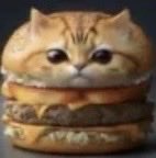 xeravn's tweet photo. @_leftmecold holy shit cat burger. https://t.co/rHIRFxd524