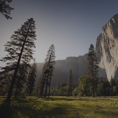 JamesHalltk3's tweet photo. For the next 200 days, I’m locking in to improve everything my appearance, health, mindset, knowledge, and discipline. https://t.co/4SDVPMDDK3