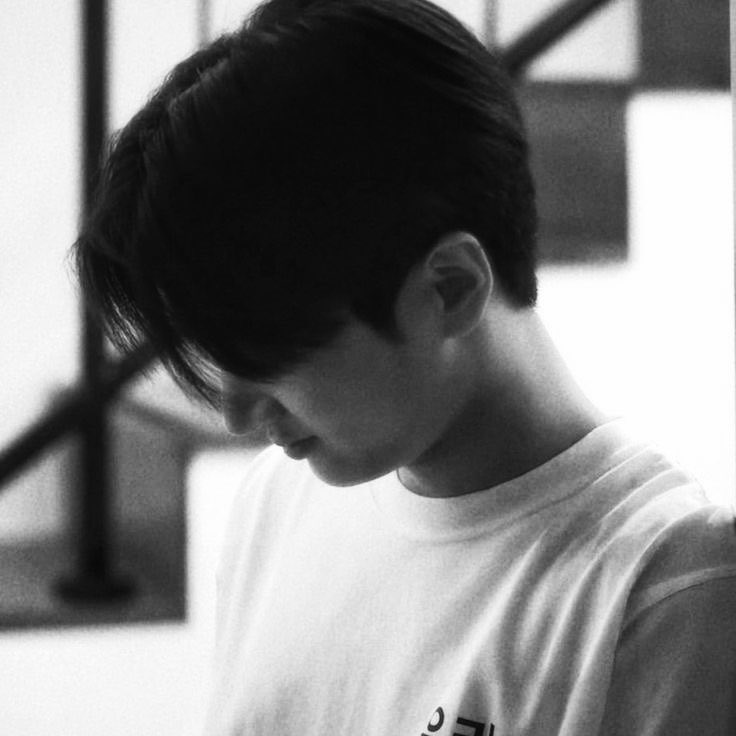 hamindear's tweet photo. #jaywon au: 

Jay nunca acreditou no amor, até sonhar com alguém que se comunica em língua de sinais e ter certeza de que é o amor da sua vida. convencido de que precisa estar preparado, Jay começa a aprender língua de sinais. é assim que ele conhece Jungwon, seu novo professor. https://t.co/0PwsCJe3qh