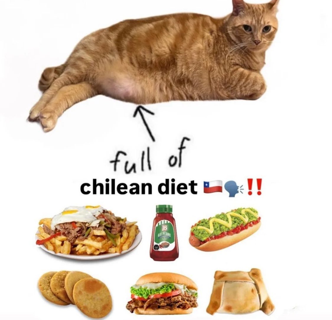 RubenRo72958121's tweet photo. planes de fin de semana, no caer en coma alimenticio. https://t.co/PasK0BnfqD