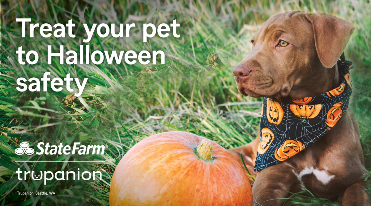 jennytolasf's tweet photo. Halloween safety isn't just for humans. Trupanion recommends keeping Halloween candy out of reach, being cautious of your pets' anxiety when putting them in costumes, and making sure they can't swallow any Halloween decor. Have a safe and spooky holiday! https://t.co/p8sZeVARnN