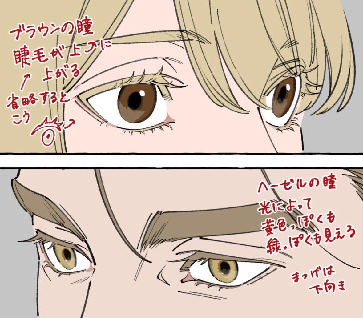 sue_1105's tweet photo. 目についてのメモ https://t.co/3XVqNaLy97