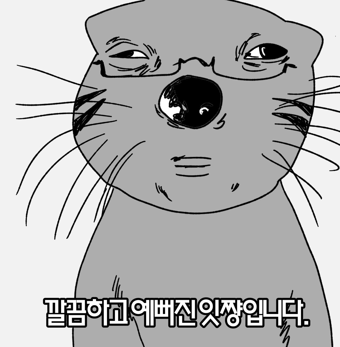 Asari__0325's tweet photo. https://t.co/Mtd8ZdJTUK