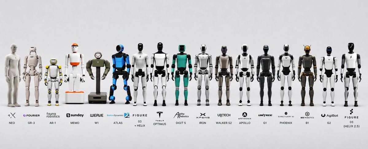 0xcymatix's tweet photo. choose your fighter https://t.co/yoBSd5Bx5I