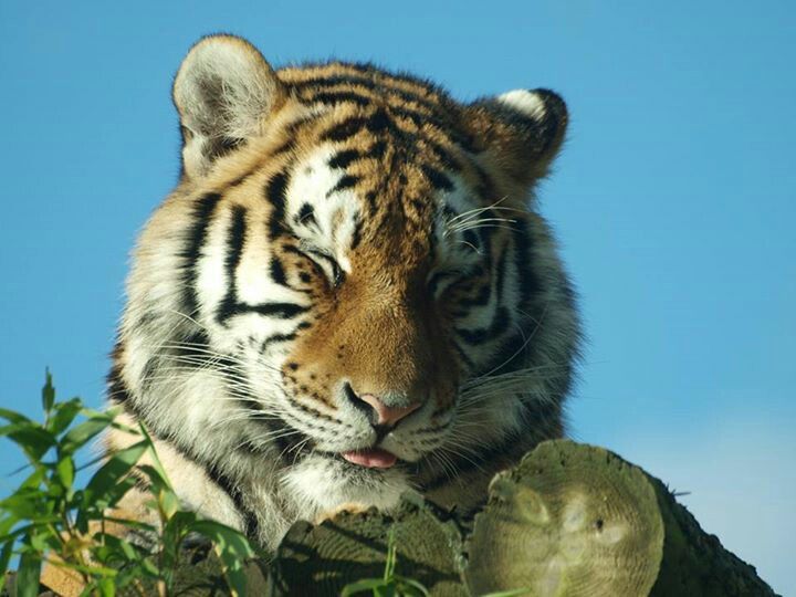 SpiritRuBee tweet picture