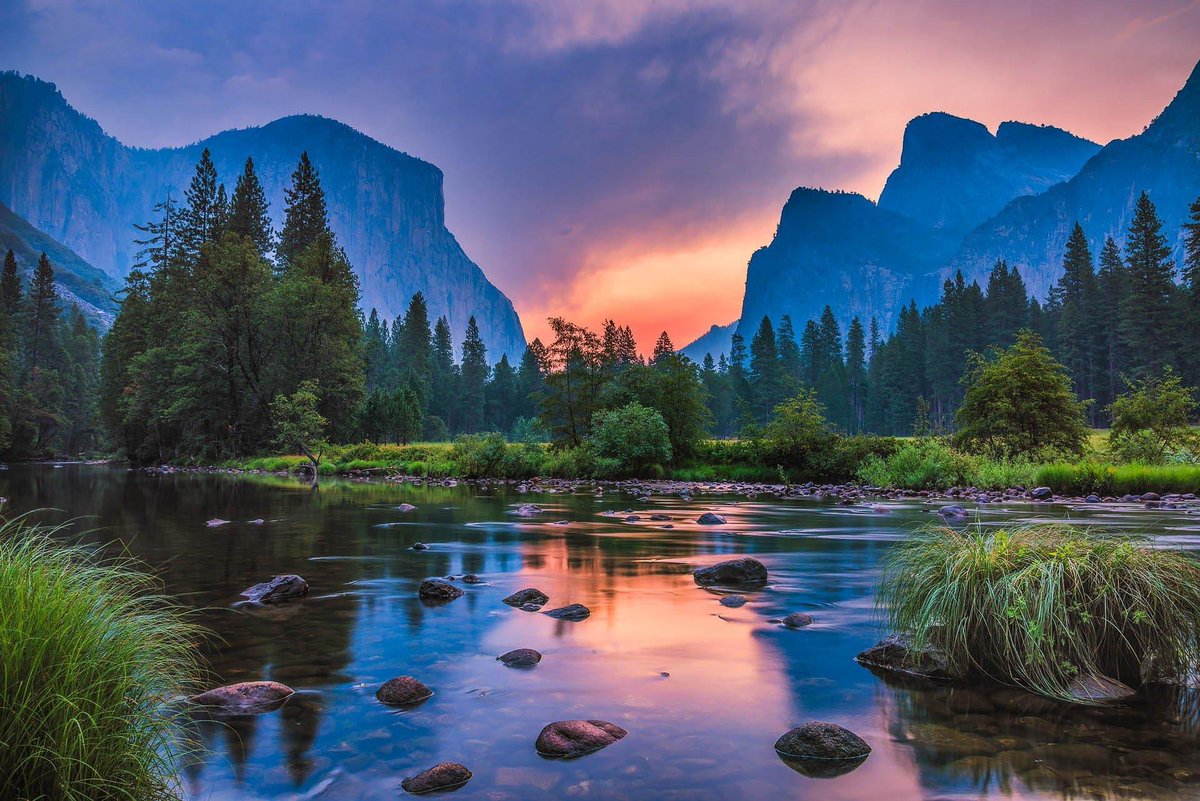 GraceAlvarxy's tweet photo. The fact my friend said they wanted to kiss me- anyways have this random picture: https://t.co/jPHocoyQFZ