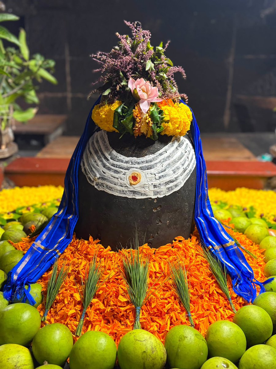 12Jyotirling's tweet photo. श्री औढ़ा नागनाथ नागेश्वर ज्योतिर्लिंग जी के संध्याकाल आरती श्रृंगार दिव्य 18.09.2026 https://t.co/8pJQfqQ0UB