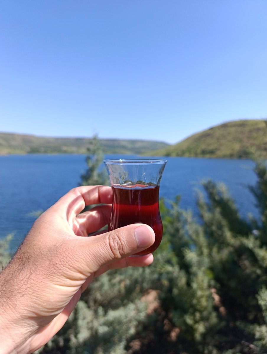 CenapAl48's tweet photo. Huzur Arayışı https://t.co/CvKvxCIu65