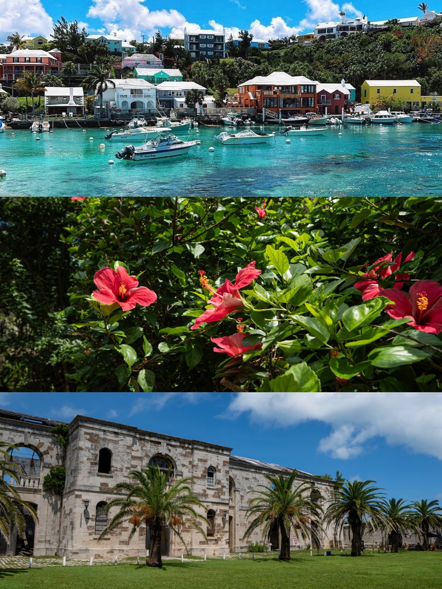 Bermuda's tweet photo. A little Bermuda beauty for your feed 💌

It makes our heart happy to see our island from your POV. Share your favourite snaps in the comments! 

📸 IG: @theofficialjdiamond, @ccalebsprague https://t.co/rpgT7O19rw