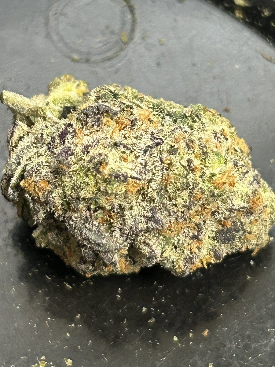 StopPlugPricing's tweet photo. Gas Alert!!🚨
- Cali gas to ✈️ you !⛽️
- Candy Jack  $99zip!! 

Get it here 👇🏻
https://t.co/sYYV5ysZoh

#cannabis #Hemp #weed https://t.co/pXb0iIJ5Gq