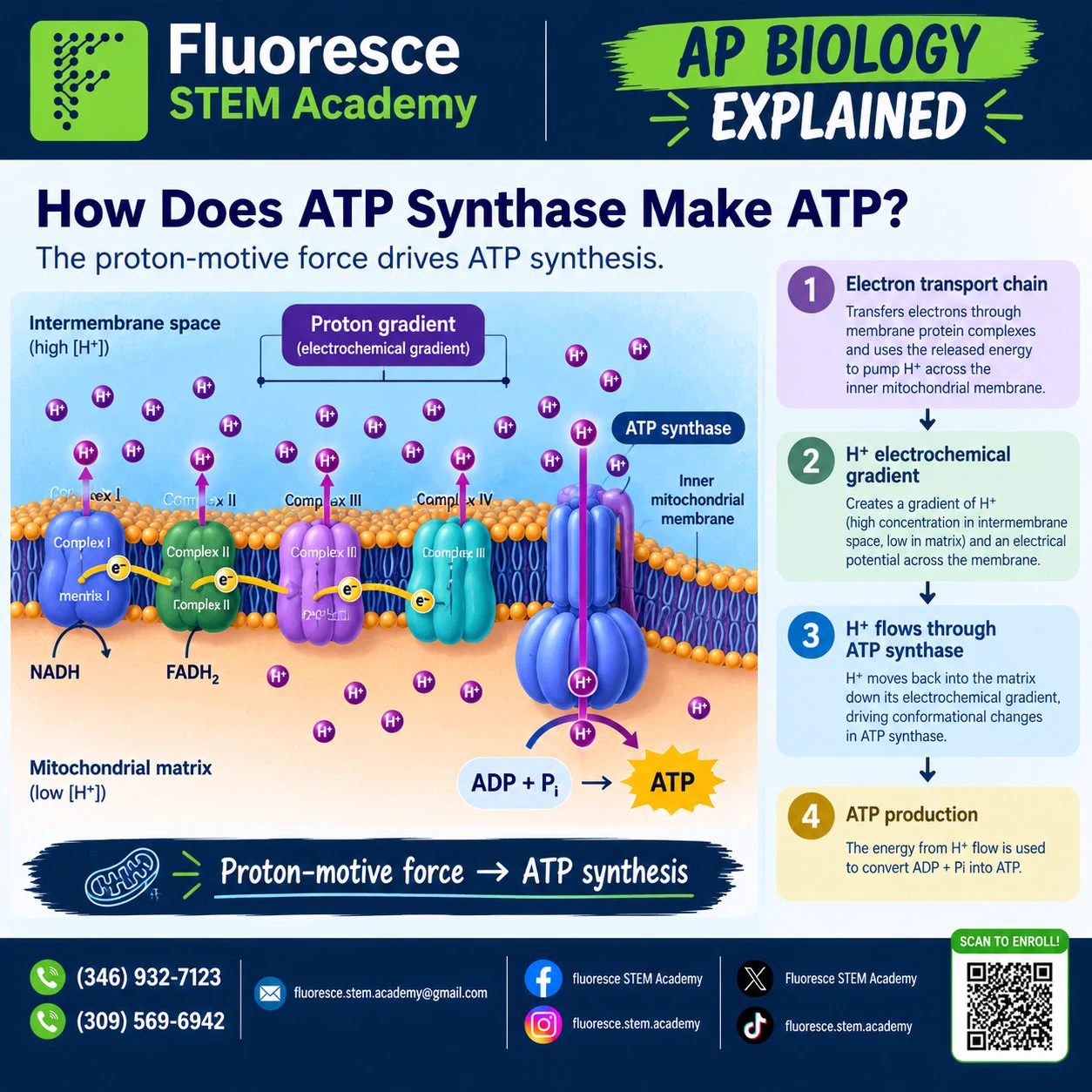 Fluoresce STEM Academy on X: 