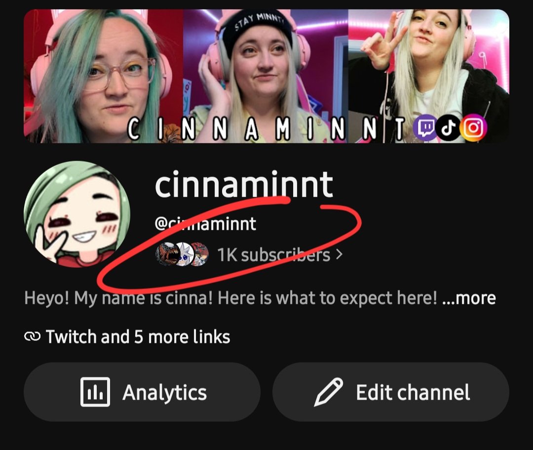 cinnaminnt_'s tweet photo. We hit it!! YAYAYY!! Thank you to everyone that has supported my YouTube channel! 🥰 

Huge shout out to @ZainMcboss for being my 1000th!! 🥳 https://t.co/vYiMEOcqvT