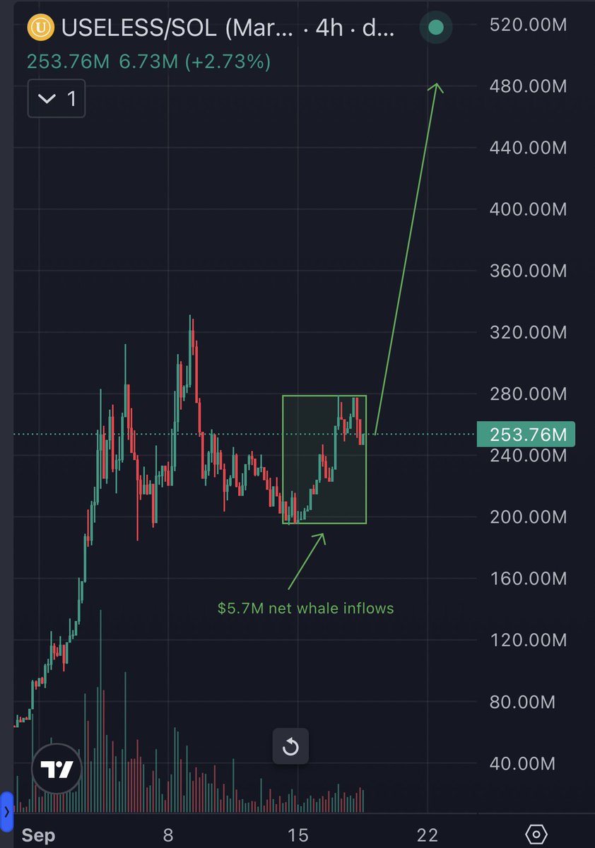 skmakeit's tweet photo. Who’s ready for a rocket ship? 👀

$USELESS SEASON https://t.co/jMMNz4dDZt
