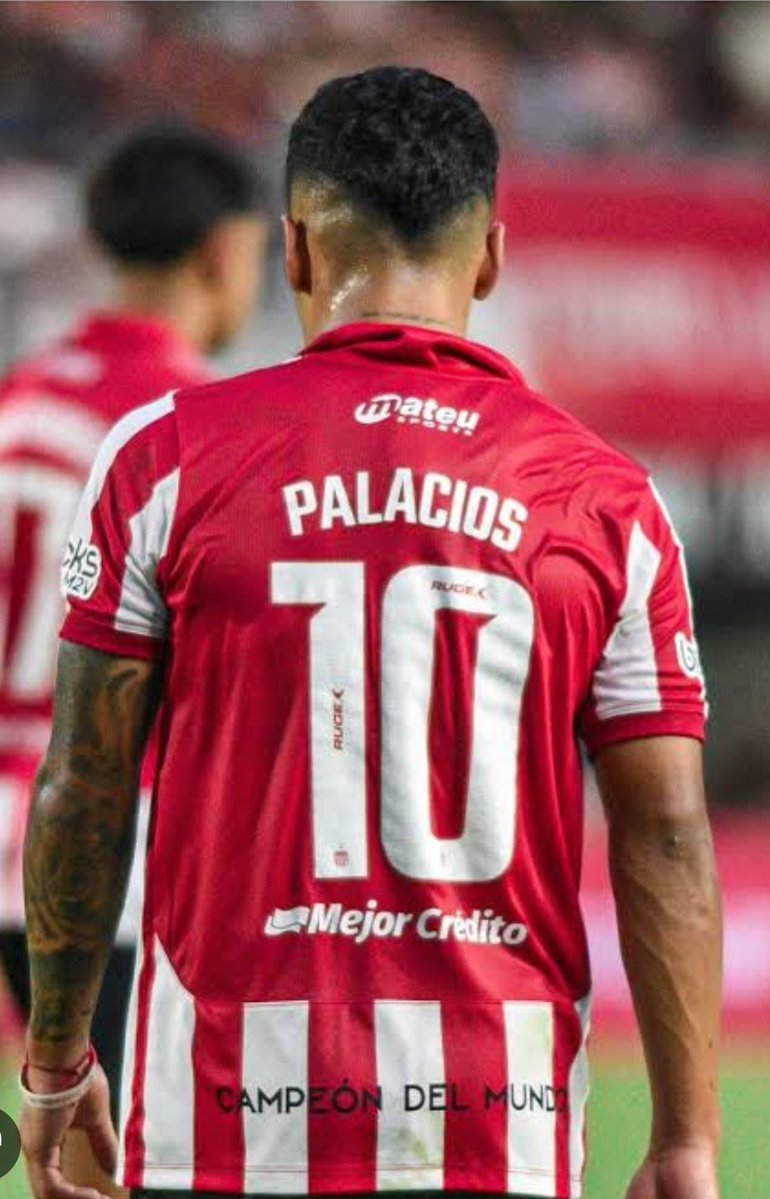 Vascobenedetti_'s tweet photo. Es una pena realmente, se pierde toda la semis me quiero matar, pero no son todas malas gente, CREO que ya vuelve tiagazo, tiagod, VUELVE EL 10, vamos todos juntos #EDLP modo libertadores https://t.co/WniFitdbRW