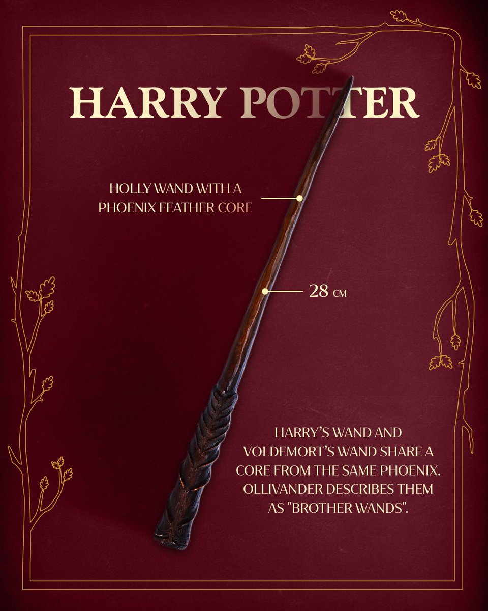 universohp's tweet photo. Novos detalhes sobre as varinhas que veremos em Harry Potter e a Pedra Filosofal da HBO 

• HARRY POTTER 

28 CM 

VARINHA DE AZEVINHO COM NÚCLEO DE PENA DE FÊNIX 

A VARINHA DE HARRY E A VARINHA DE VOLDEMORT COMPARTILHAM UM NÚCLEO DA MESMA FÊNIX. OLLIVANDER AS DESCREVE COMO "VARINHAS IRMÃS". 

• RON WEASLEY 

MADEIRA DE FREIXO COM NÚCLEO DE PELO DE UNICÓRNIO 

31 CM 

A VARINHA DO RON É UMA VARINHA HERDADA DE SEU IRMÃO MAIS VELHO, CARLINHOS. 

• DRACO MALFOY 

MADEIRA DE ESPINHEIRO COM NÚCLEO DE PELO DE UNICÓRNIO 

25 CM 

A VARINHA DE DRACO É DE ESPINHEIRO. SEGUNDO A TRADIÇÃO, O ESPINHEIRO É MAIS ADEQUADO PARA BRUXOS DE NATUREZA CONFLITUOSA. 

• HERMIONE GRANGER 

MADEIRA DE VIDEIRA COM NÚCLEO DE FIBRA DE CORAÇÃO DE DRAGÃO 

27 CM 

A VARINHA DE HERMIONE É DE MADEIRA DE VIDEIRA, UM MATERIAL RARO QUE, DIZEM, FAVORECE AQUELES QUE BUSCAM UM PROPÓSITO MAIOR. 

(via: conta oficial de Harry Potter)