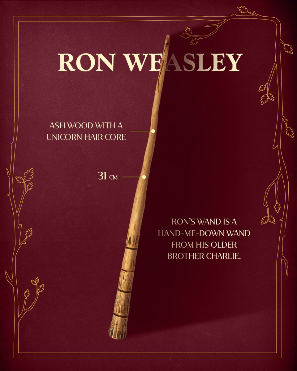 universohp's tweet photo. Novos detalhes sobre as varinhas que veremos em Harry Potter e a Pedra Filosofal da HBO 

• HARRY POTTER 

28 CM 

VARINHA DE AZEVINHO COM NÚCLEO DE PENA DE FÊNIX 

A VARINHA DE HARRY E A VARINHA DE VOLDEMORT COMPARTILHAM UM NÚCLEO DA MESMA FÊNIX. OLLIVANDER AS DESCREVE COMO "VARINHAS IRMÃS". 

• RON WEASLEY 

MADEIRA DE FREIXO COM NÚCLEO DE PELO DE UNICÓRNIO 

31 CM 

A VARINHA DO RON É UMA VARINHA HERDADA DE SEU IRMÃO MAIS VELHO, CARLINHOS. 

• DRACO MALFOY 

MADEIRA DE ESPINHEIRO COM NÚCLEO DE PELO DE UNICÓRNIO 

25 CM 

A VARINHA DE DRACO É DE ESPINHEIRO. SEGUNDO A TRADIÇÃO, O ESPINHEIRO É MAIS ADEQUADO PARA BRUXOS DE NATUREZA CONFLITUOSA. 

• HERMIONE GRANGER 

MADEIRA DE VIDEIRA COM NÚCLEO DE FIBRA DE CORAÇÃO DE DRAGÃO 

27 CM 

A VARINHA DE HERMIONE É DE MADEIRA DE VIDEIRA, UM MATERIAL RARO QUE, DIZEM, FAVORECE AQUELES QUE BUSCAM UM PROPÓSITO MAIOR. 

(via: conta oficial de Harry Potter)