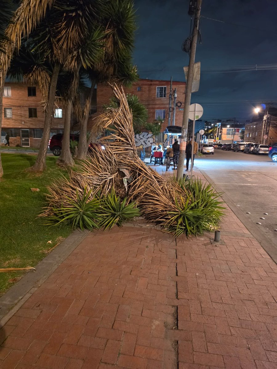 soydanileon's tweet photo. Solicitamos a la @Uaesp y a @AreaLimpiaESP atender el llamado de la comunidad de Las Mercedes, en la localidad de Suba. 

Este árbol caído lleva varios días en el lugar y está afectando el paso peatonal en esta dirección Carrera 109 # 152b

Agradecemos su pronta gestión👌 https://t.co/3aYXtDgVp9