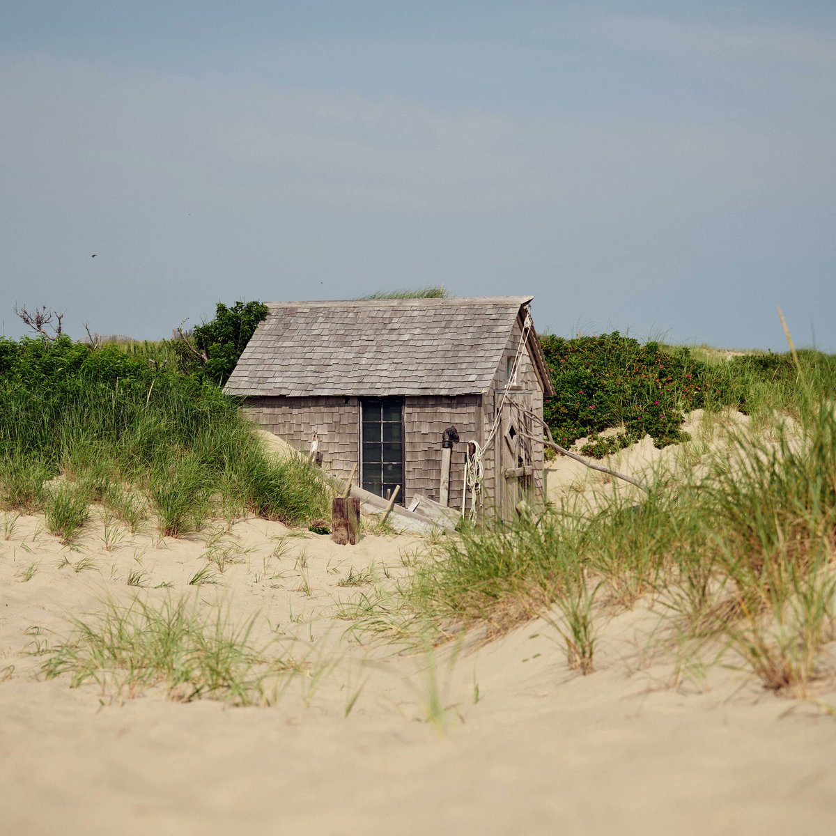 CaseyBHead's tweet photo. The masculine urge to be forgotten among the dunes of the cape and weather like an old piece of driftwood. https://t.co/pNH2jlxiuz