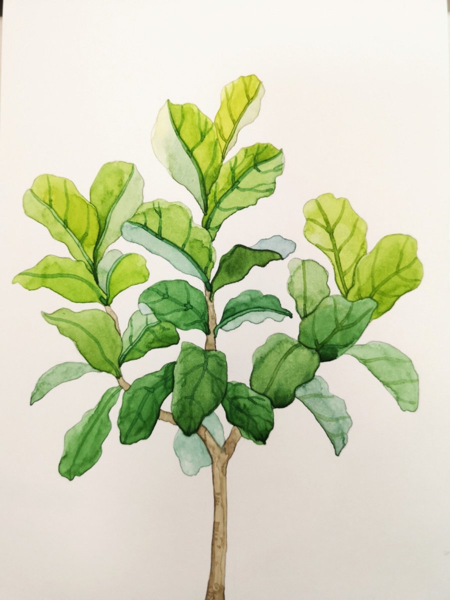 Yuecel38's tweet photo. 【New hobby alert! Try 10-minute daily watercolor doodles—no experience needed, just fun u0026 calm vibes. Start your creative streak today!】， https://t.co/it01UFgXUJ