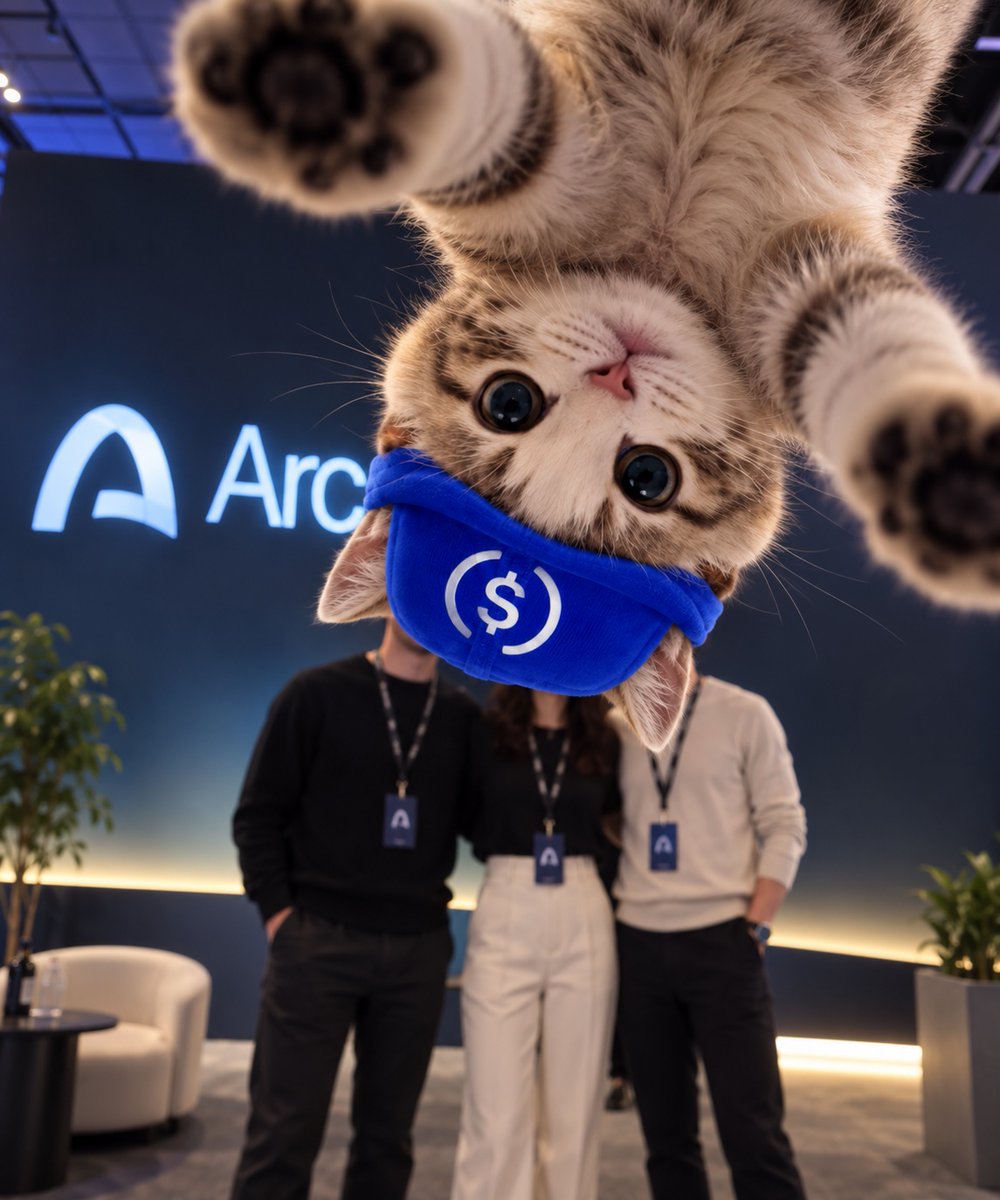 USDCat__'s tweet photo. @0xrachelita @thomasbtc Do you think I'm cute? https://t.co/9PbbcX8GMD