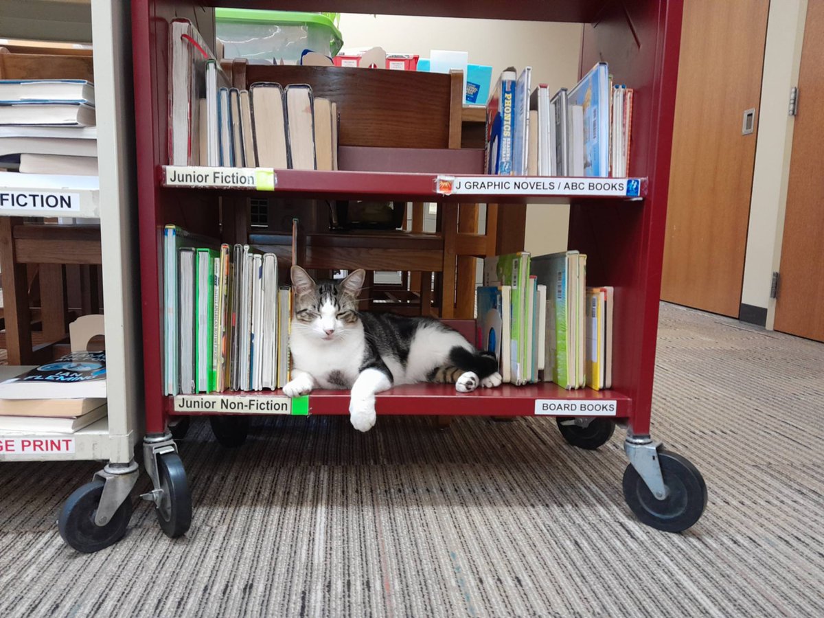 bonnerlibrary tweet picture