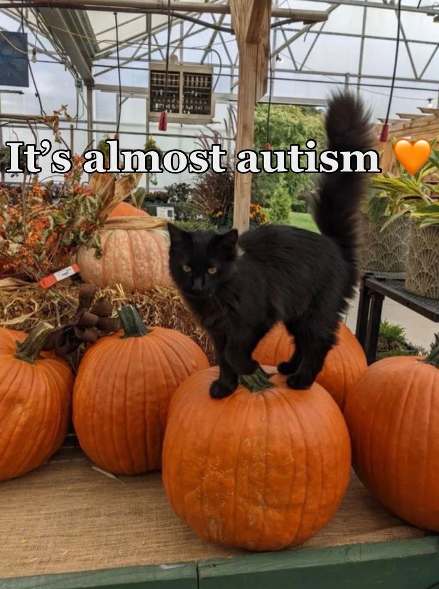 equine__dentist's tweet photo. 🧡 https://t.co/IVYUUPcYAH