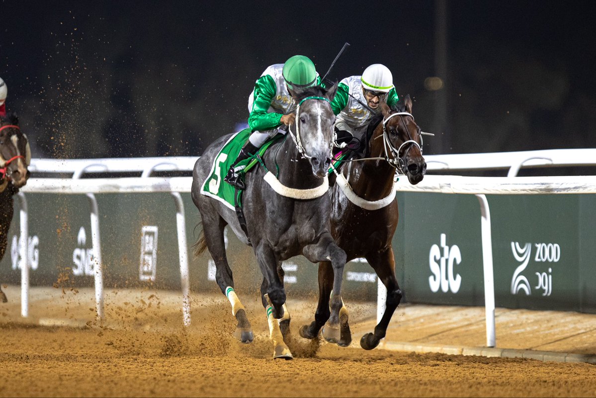 alareen_racing's tweet photo. البطل "فاروق"🥇

بشعار الشيخ عبدالله حمود المالك الصباح.

يحقق كأس بطولة السرعة للحصن 🏆 
على مسافة 1200 متر ويضيف انتصاره السادس في سجله السباقي، تدريبات عبدالله السدراني، وبقيادة الخَيّال العالمي محمد الدهام 

ألف مبروك 👏🏻

#العرين_ريسينق https://t.co/Ahh5ecpt1t