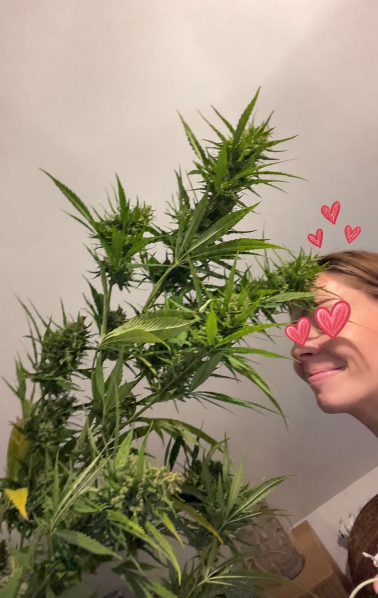 Lpbjd's tweet photo. Les françaises aussi fument de la weed https://t.co/DKJi2oZYTc
