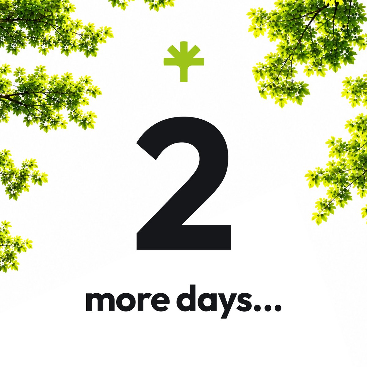 TreevolutionSOL's tweet photo. 2 more days, $TREE 🌳 https://t.co/vLnQee5rBT