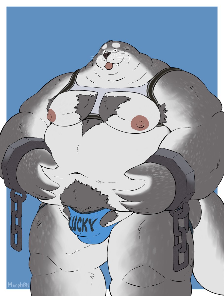 MerphBW's tweet photo. Seal Commission for @Emmypd69 
Thank you so much for your support ❤️ https://t.co/IZtsPpbxjj
