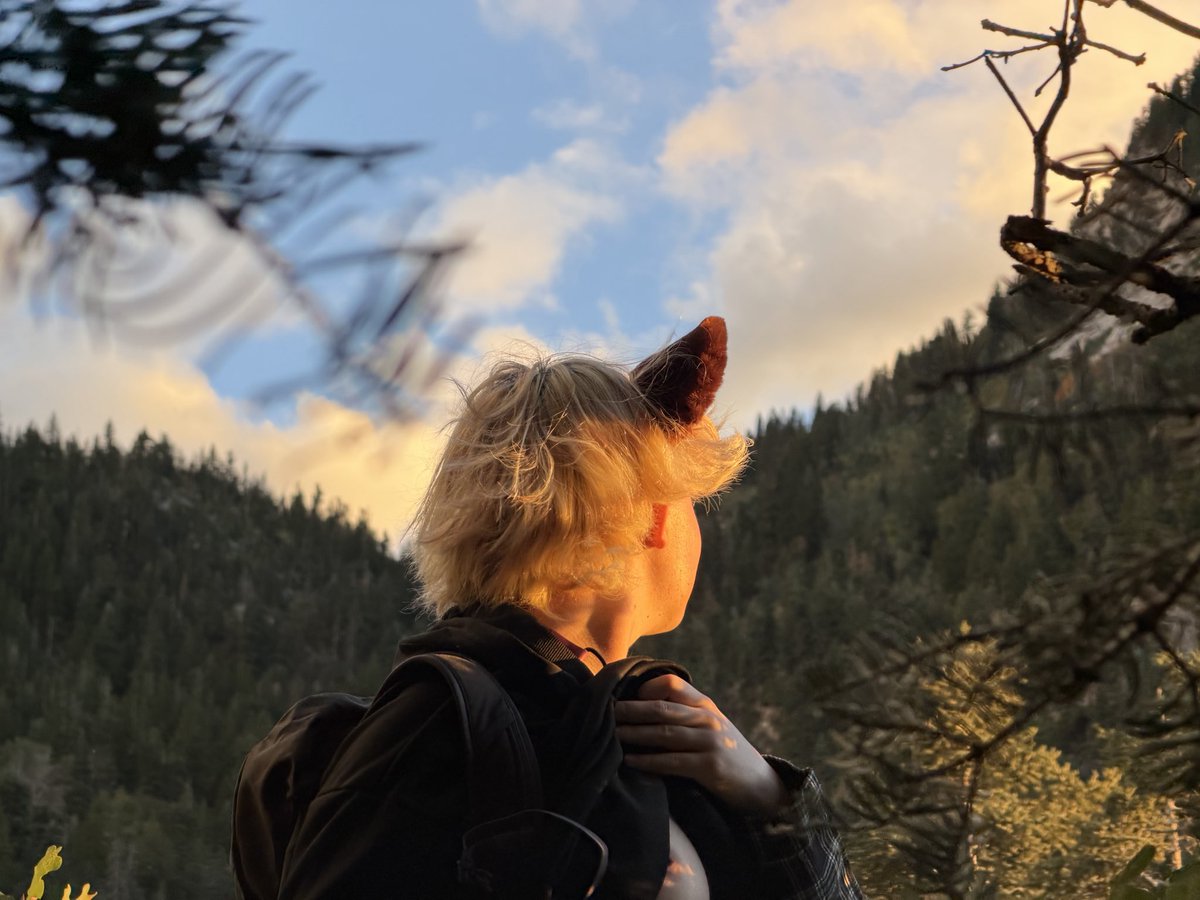 Neon_Spade2185's tweet photo. Casual Hiking activities~
#furry #yiff #mursuit #nsfw https://t.co/mCvUCmydQz