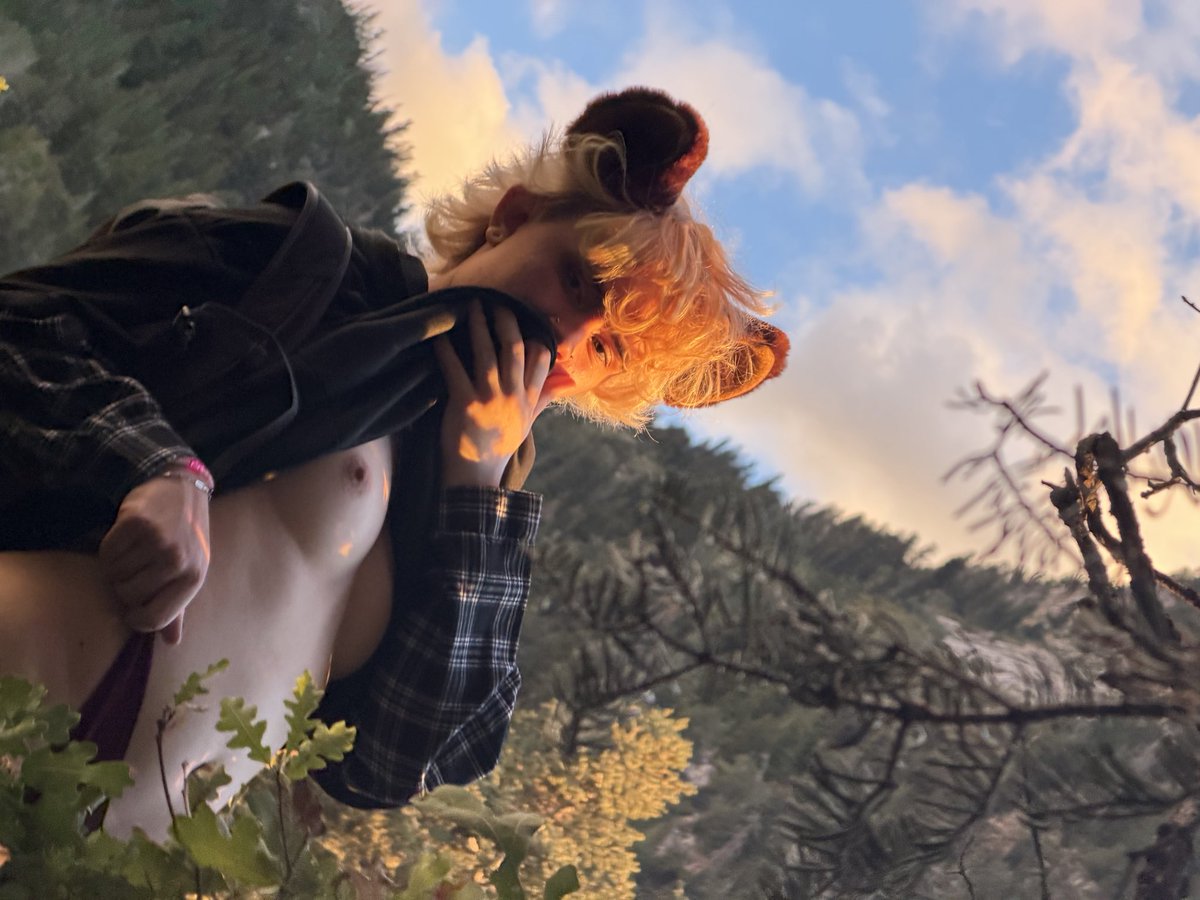 Neon_Spade2185's tweet photo. Casual Hiking activities~
#furry #yiff #mursuit #nsfw https://t.co/mCvUCmydQz