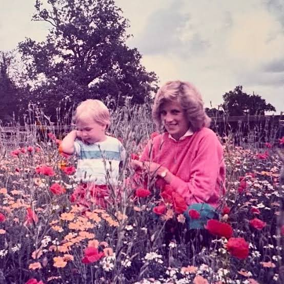 XOQueenEsther's tweet photo. My heart breaks for Prince William. He really does get the impossible end of this.

William was 15 when Diana died. He wasn’t a commentator looking back on 1997 decades later. He was a teenage boy standing behind his mother’s coffin while the entire world watched. And now, nearly 30 years later, Charles Spencer has decided to reopen that week and put his own version of those events back into the public arena.

What makes it particularly uncomfortable is that Spencer’s version places himself at the centre of decisions about what was best for Diana’s sons, while William was actually there and old enough to understand far more of what was happening than Harry was. Spencer may genuinely believe he was protecting them, but William is the one who had to live with that day, that loss and everything that followed.

And then there is Harry, who has spent years reopening the same wounds from his own perspective. At some point, you have to ask what this constant excavation actually does to the person who has chosen not to turn it into a lifelong public grievance.

William has never had the luxury of being just Diana’s son. He grew up and became the man expected to carry the family, the institution and eventually the Crown. Every time this history is dragged back into the headlines, he is left with an impossible choice: say nothing and let other people define the story, or respond and turn one of the most painful chapters of his childhood into another public royal spectacle.

And Charles Spencer should not be treated as though being Diana’s brother automatically makes every recollection unquestionable. His relationship with Diana was complicated too. He fell out with her after withdrawing an offer for her to live at Althorp when she was desperate for somewhere to escape to after her separation. They eventually reconciled, but that history matters when he now presents himself as the definitive voice on Diana and what she would or would not have wanted.

What I find most distasteful is the endless monetisation of Diana’s tragedy. Montecito and Althorp have become two very different places from which the same old story keeps being mined: another book, another interview, another grievance, another version of what Diana wanted, what the family did wrong and who should be blamed.

And somehow William is expected to live quietly with the consequences.

I cannot imagine being 15, losing your mother in front of the entire world, growing up under that shadow and then watching your brother and your mother’s brother repeatedly reopen the story for public consumption.

Harry chose to make his grievances part of his public identity. Spencer has chosen to publish his recollections nearly 30 years later. They can both make those choices.

William did not choose any of this.

He was a child when Diana died. He has spent his entire adult life living with the consequences.

That deserves more consideration than another round of people picking through Diana’s life, her death and her children’s grief for their own narratives.

Some wounds do not become less personal just because three decades have passed.

So before another person decides to tell the world what Diana’s sons should have felt, what they should have done, or what their mother would have wanted, perhaps they should remember one simple fact:

William was there. He lost his mother too. And yet he has spent nearly three decades carrying the consequences without turning her death into an endless public reckoning.