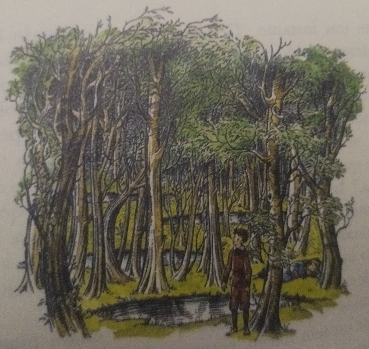 narniansquad's tweet photo. Além do canto da criação, o que vocês mais querem ver na nova adaptação de Nárnia?

A chegada de Jadis em Londres? O mundo entre mundos? Outras dimensões? O Jardim de Aslan?

Uma coisa é certa: se o filme for 1% do que o livro é, será uma experiência magnífica para todos. https://t.co/nj1RDj8g6D