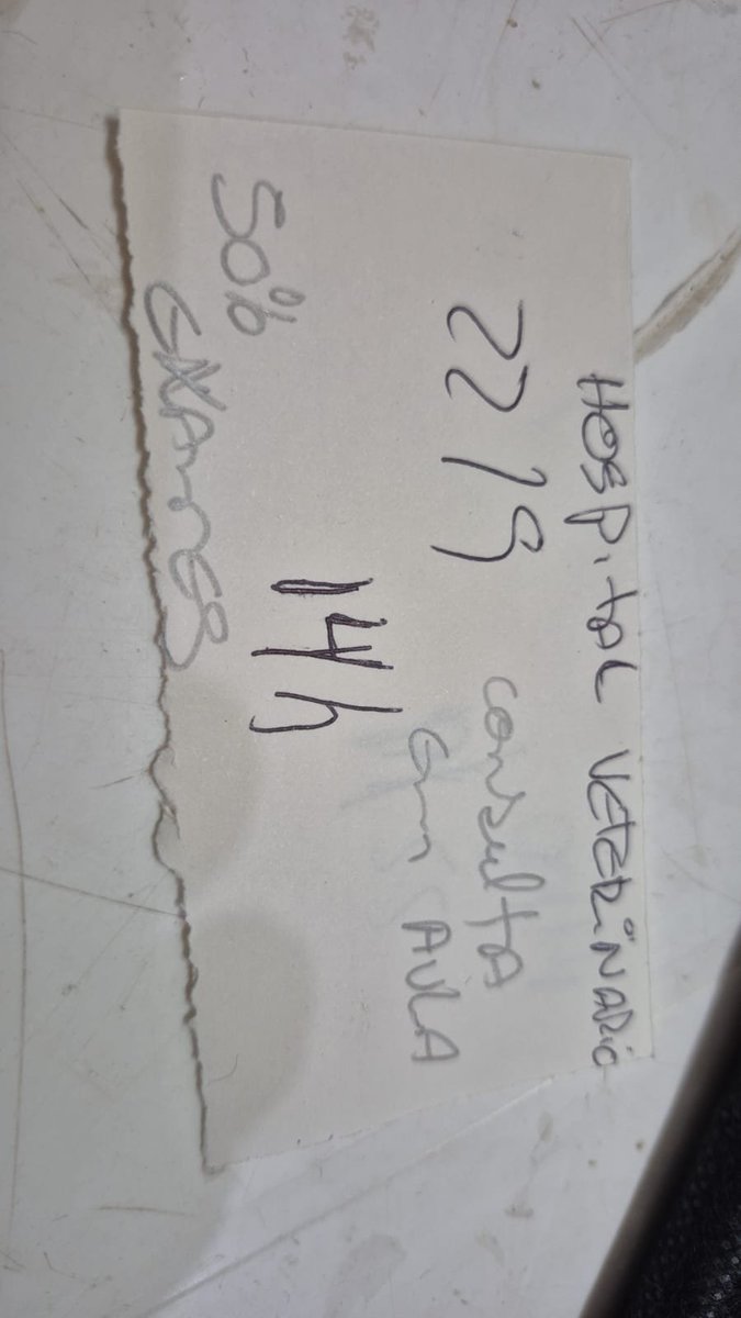 28bebesajuda's tweet photo. pessoal boas-novas!!!
marcamos a consulta da bellit na faculdade, vai ser em aula e só vamos pagar 50% dos exames!!! qualquer valor arrecadado, será usado para ela e se sobrar, com os outros bichinhos ❤️

pix: 35991737271 https://t.co/S2wufEWsBG