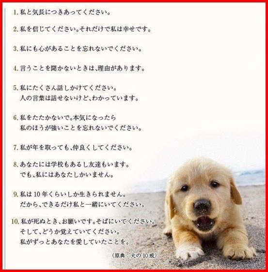 5fkpy's tweet photo. こういうの見たらめちゃ泣いちゃう
ペット飼ってる人は全員泣くよ...( ；__； ) https://t.co/5AQTR7YD6I