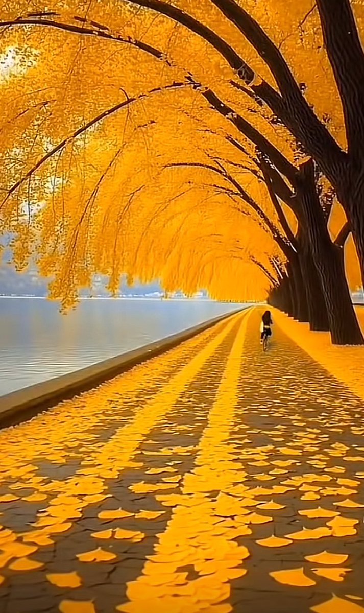 Julies_smithh's tweet photo. 🍁🌻🍁 https://t.co/wYxWZzzcXP