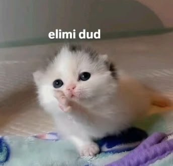 capyommm's tweet photo. son aksam yemegi tablosundan sonra yapılmıs en iyi sanat eseri 0 abartı. elimi dud https://t.co/xzDITE7hFk