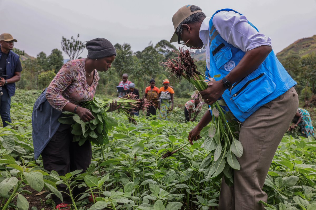 UNOCHA_DRC's tweet photo. Aujourd’hui, @DamienMama s’est rendu à Kimoka, au #NordKivu, pour observer les résultats des projets financés par le Fonds humanitaire en #RDCongo. 
La @FAORDCongo a distribué des kits agricoles d’urgence à 8 000 ménages retournés afin de renforcer leur sécurité alimentaire. https://t.co/SMEePf8L3X