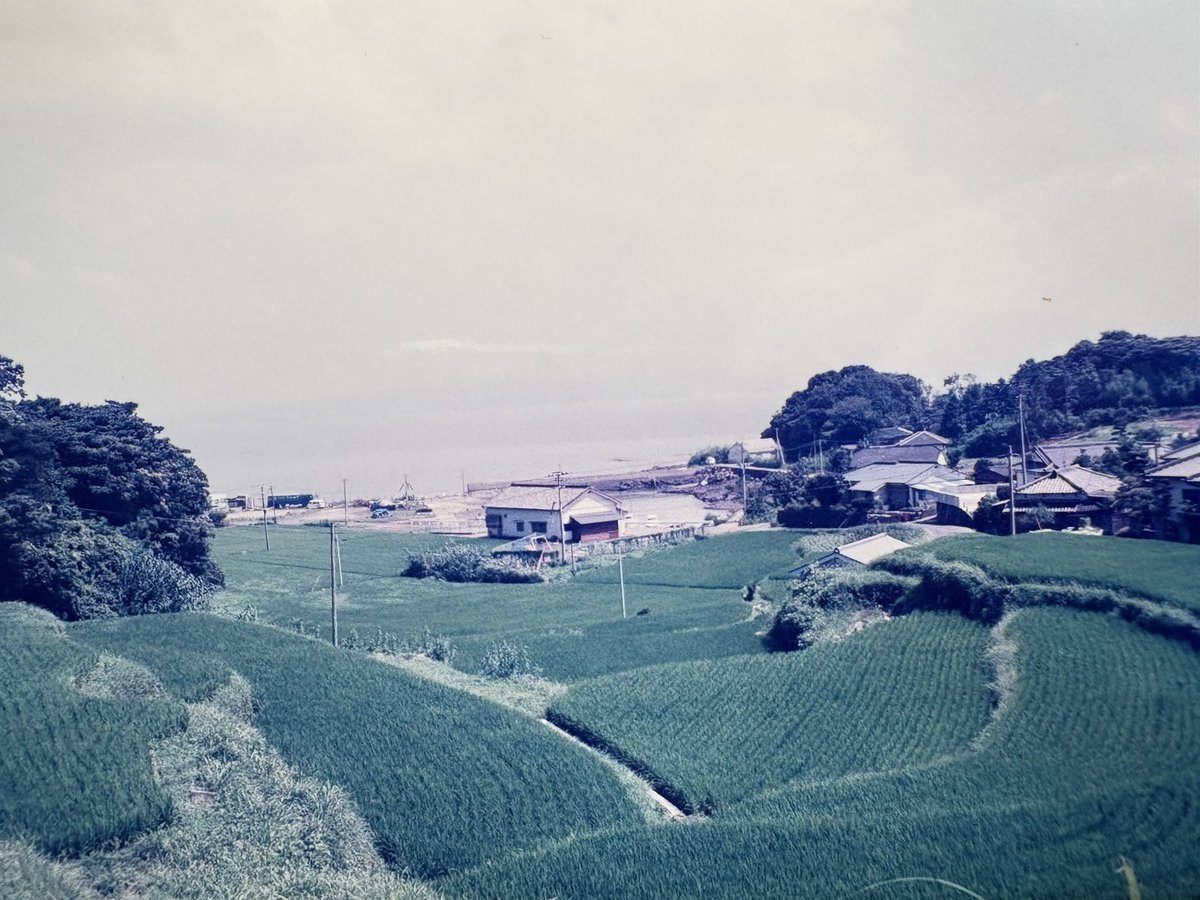 rokube_ko's tweet photo. 1998年夏
長崎本線•小長井〜長里
駅間歩行
長崎本線のこういう風景が本当良い

#ロクビー庫九州 https://t.co/CjHaVdtRiX