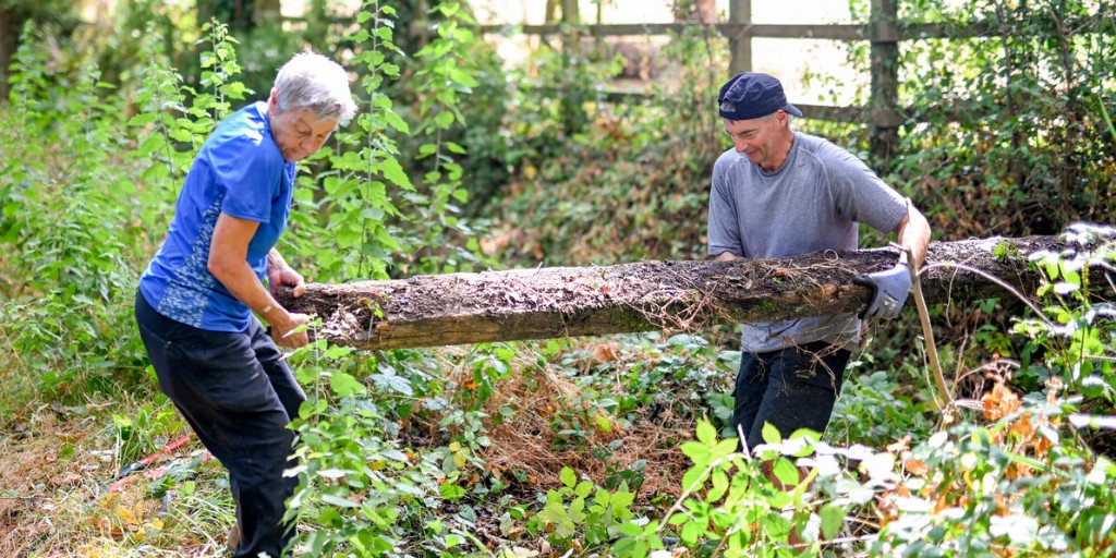 NewForestNPA's tweet photo. 41 people volunteered their time with the New Forest NPA in August, spending more than 310 hours – or 56 volunteer days – benefiting nature, communities, and heritage in the National Park and improving their own health and wellbeing.

Volunteers worked alongside Hampshire County Council to improve footpath access for people enjoying time in nature, supported an archaeological excavation led by Buckler’s Hard Shipyard Trust and Maritime Archaeology Trust, and attended various family fun events.

August highlights included:

🔨 Building new bridge crossings for footpaths in the Forest and improving local access on the King Charles III England Coast Path so people can enjoy time connecting with nature

🍃 Cutting back vegetation to open up overgrown sections of path and rights of way so more people have easy access to green spaces

⛏️ Supporting partners at the Buckler’s Hard archaeological slipway dig, recording key moments in the New Forest’s history

🪴 Learning green skills and taking part in outdoor first aid training, leading to new opportunities

🔗 Follow the link below to get involved for yourself.

https://t.co/87aTRHQSvZ

New Routes to Nature – the initiative supporting volunteering in the New Forest – has been made possible with The National Lottery Heritage Fund, thanks to National Lottery players.

#BigVolunteerWeekend