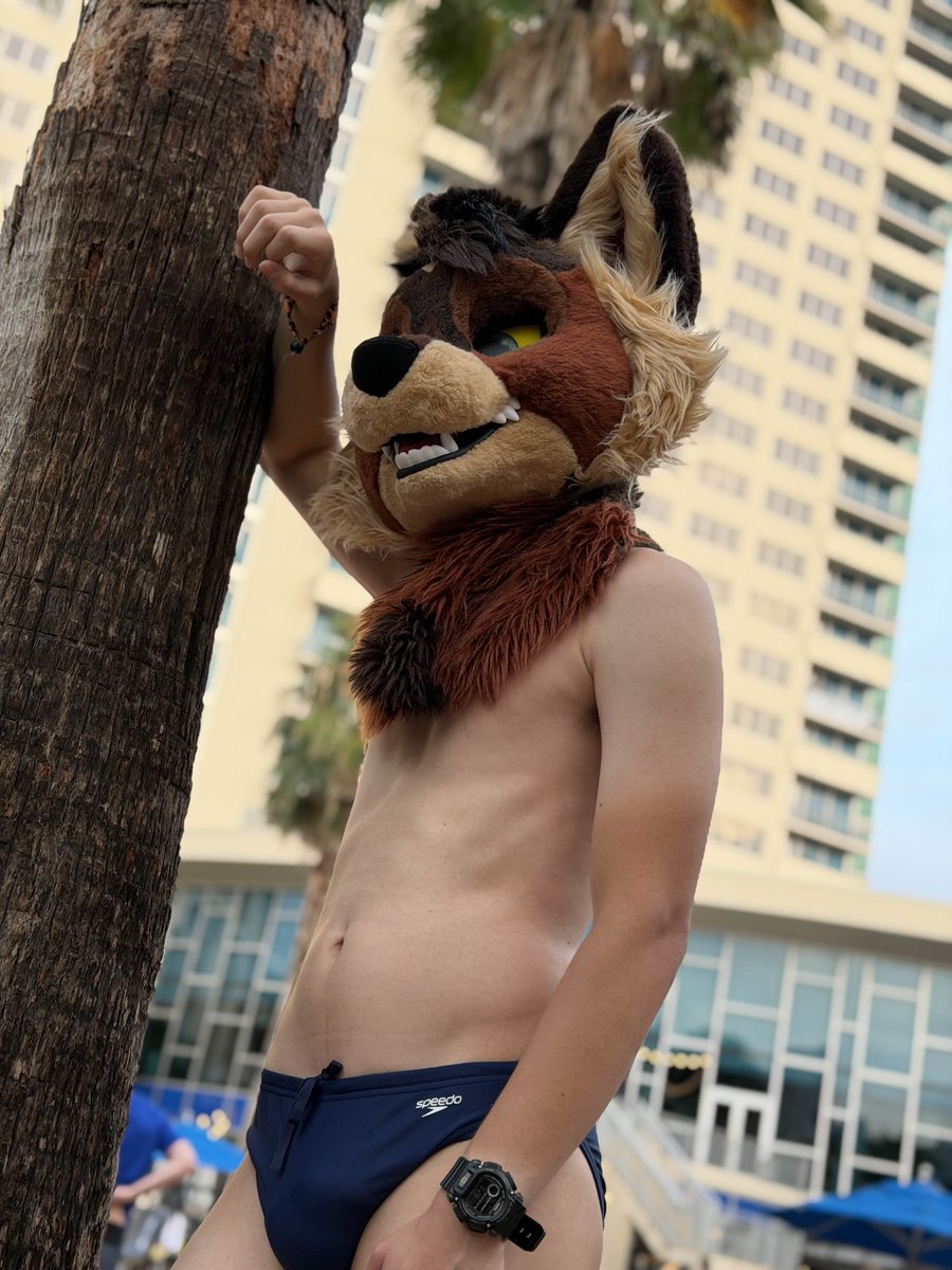 awildyoteAD's tweet photo. sup dude?

📸: @ThatSynthBoyoAD

#megaplex https://t.co/Rc51JFo3Jt